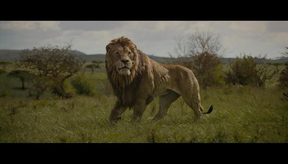 کراون شکارچی