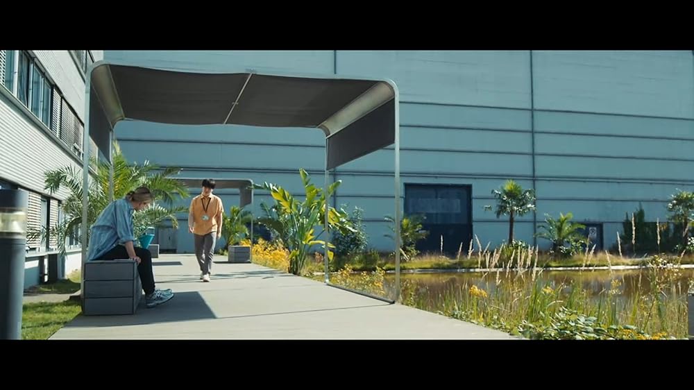 بهرکشی آمریکایی