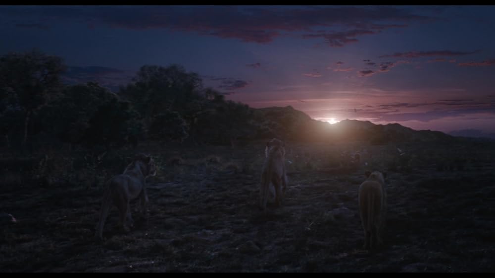 موفاسا: فرمانروای شیرها