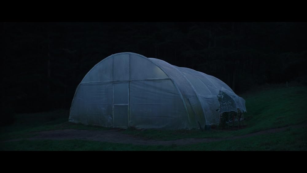 مرد گرگ نما