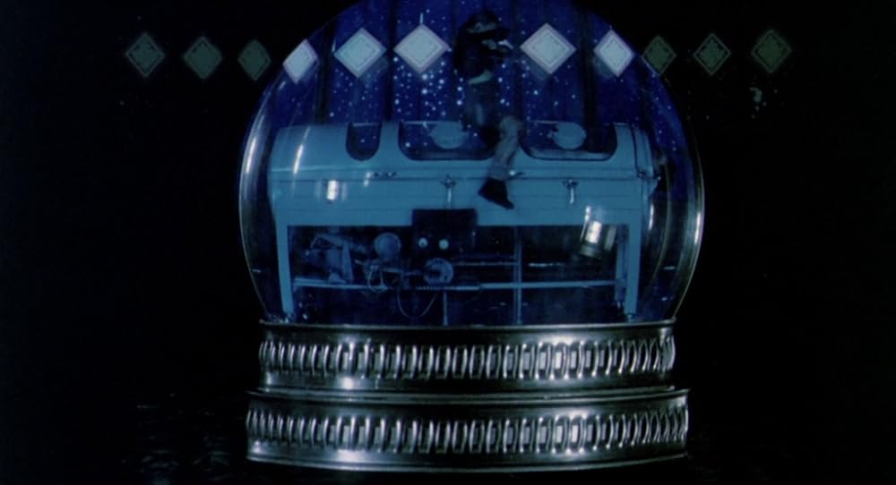 در یک قفسه شیشه ای