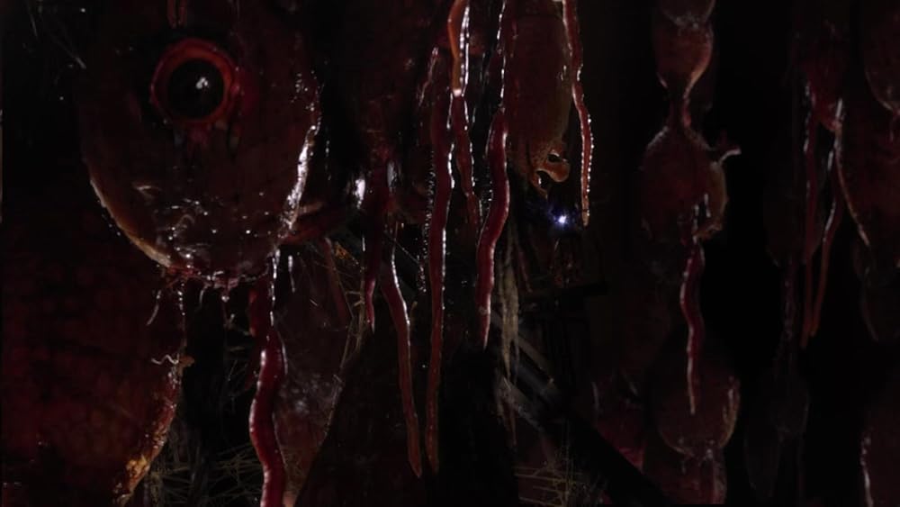 خدای دیوانه