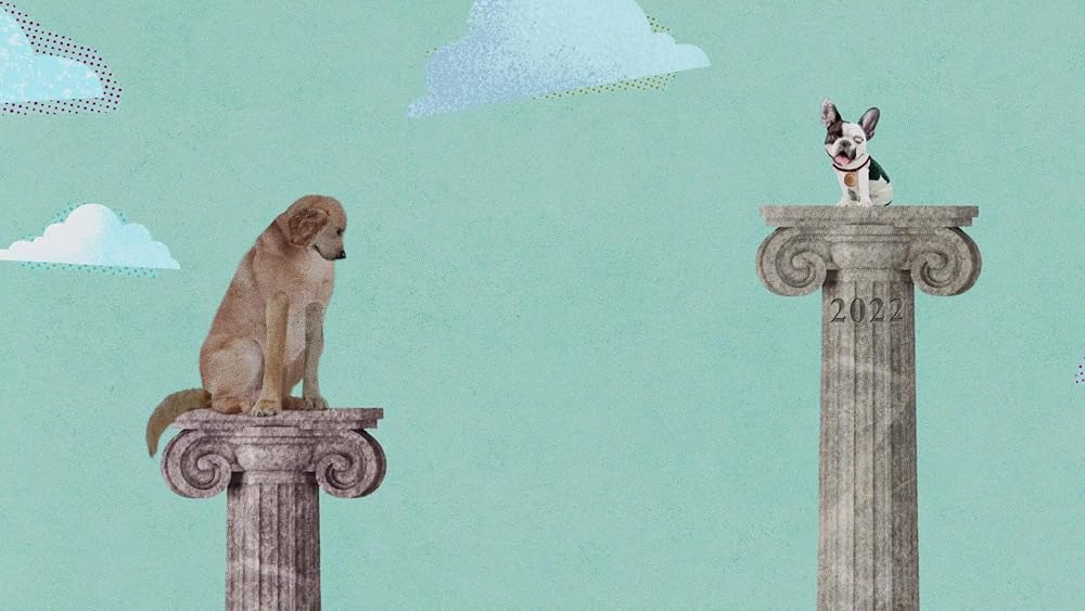 درون ذهن یک سگ