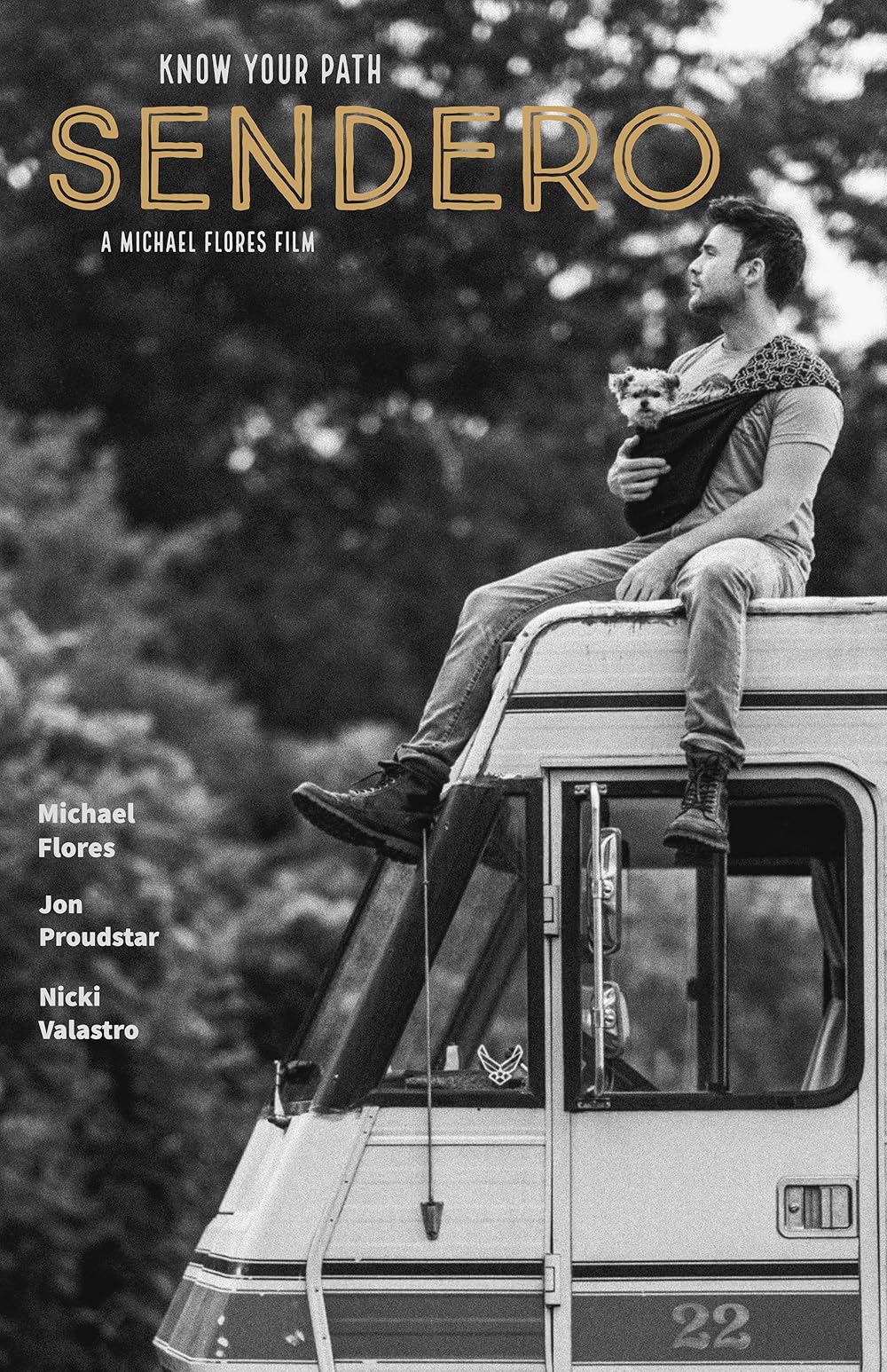 سگ ها در جاده