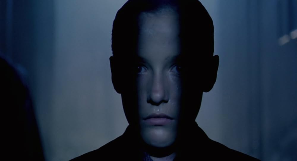 در یک قفسه شیشه ای