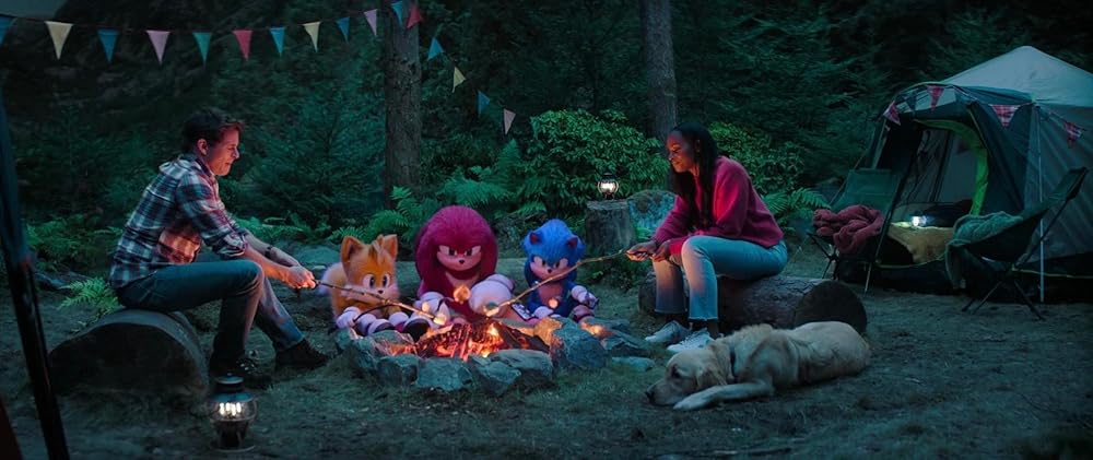 سونیک خارپشت ۳