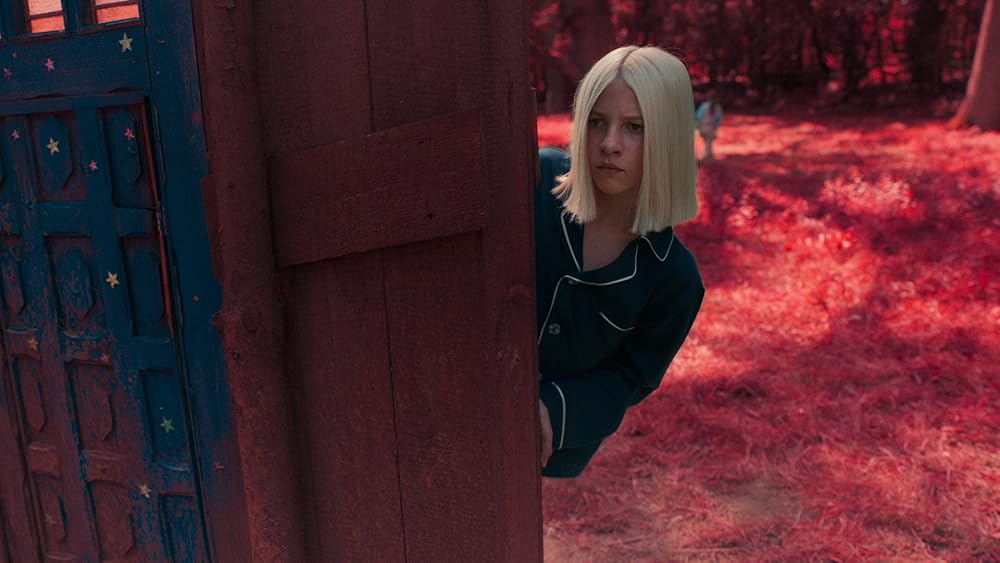 آکادمی کلکس