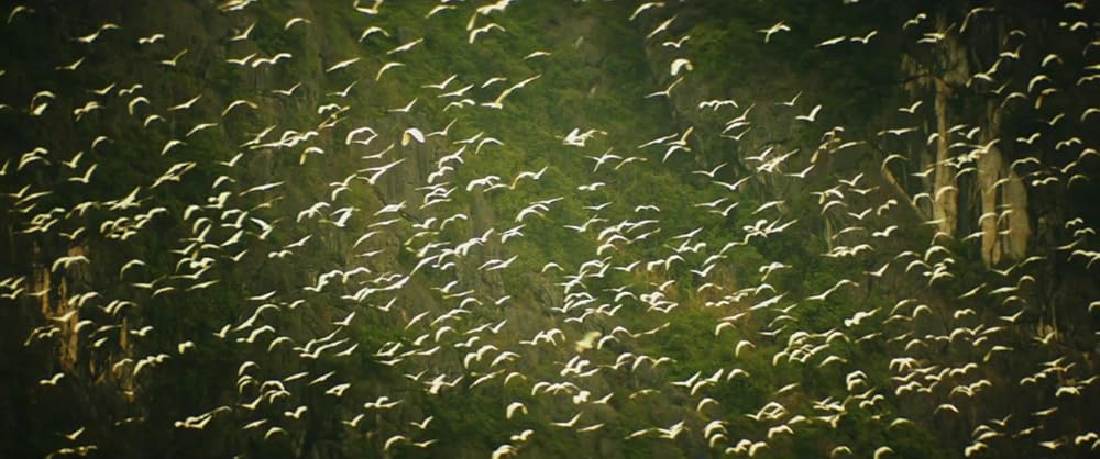 کونگ جزیره جمجمه