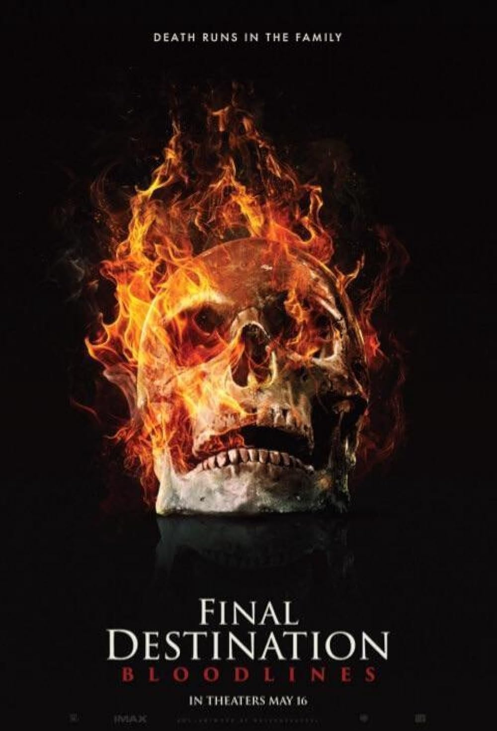 مقصد نهایی: خطوط خونی