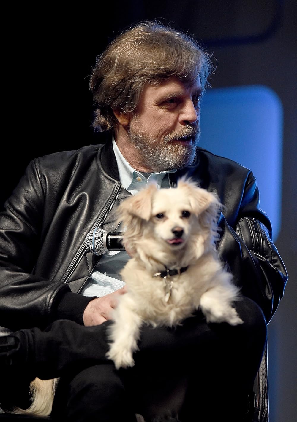 یاغی یک داستانی از جنگ ستارگان