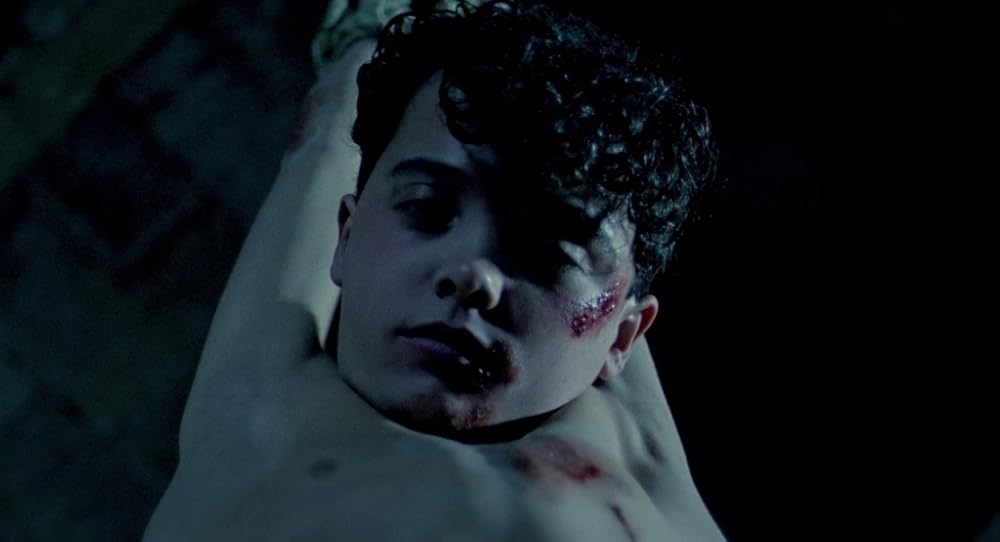 در یک قفسه شیشه ای