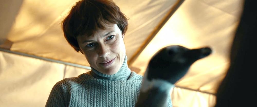 دوست پنگوئن من