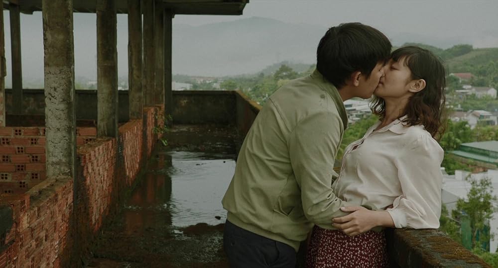 درون پوسته پیله زرد