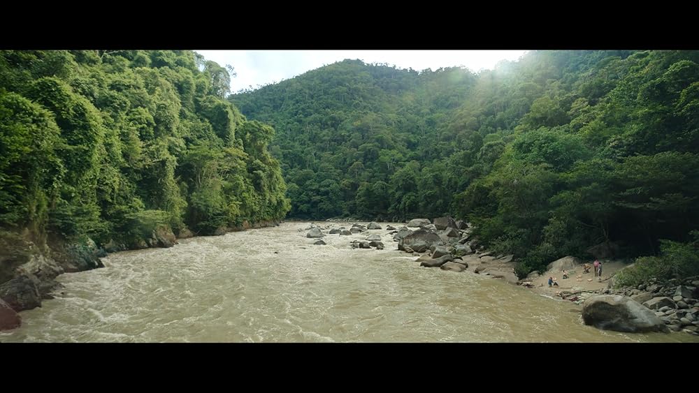 پدینگتون در پرو