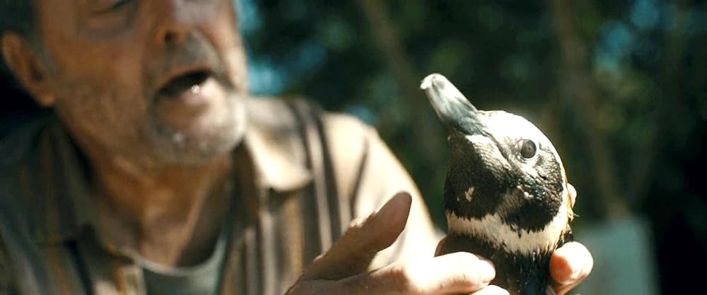 دوست پنگوئن من