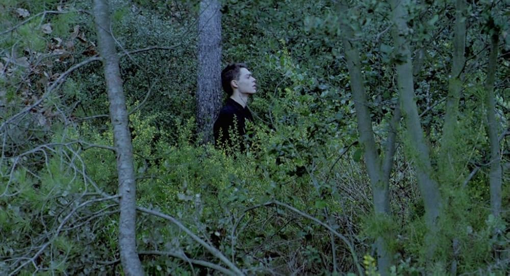 در یک قفسه شیشه ای