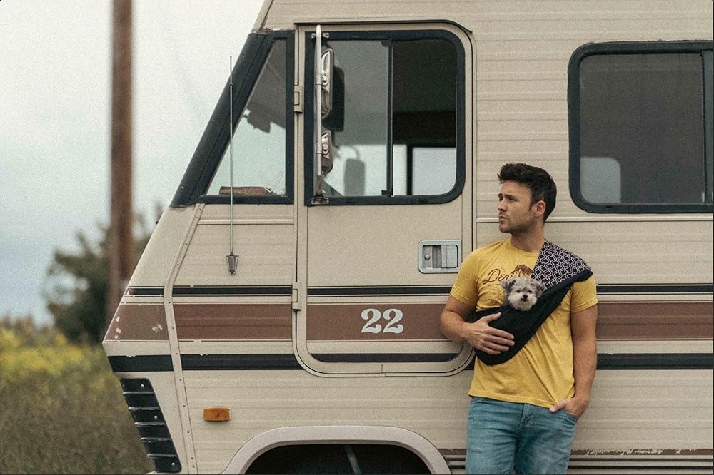 سگ ها در جاده