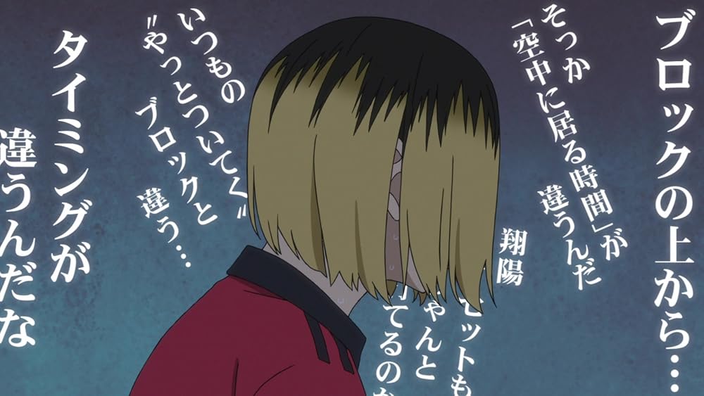 هایکیو!! نبرد دامپستار