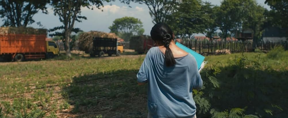 کارخانه شکر