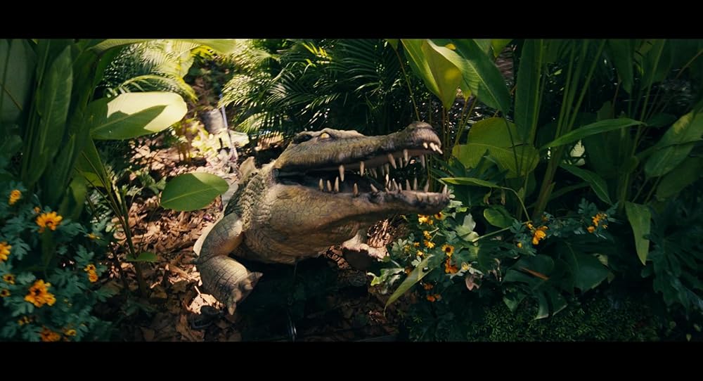 دورا در جستجوی سول دورادو