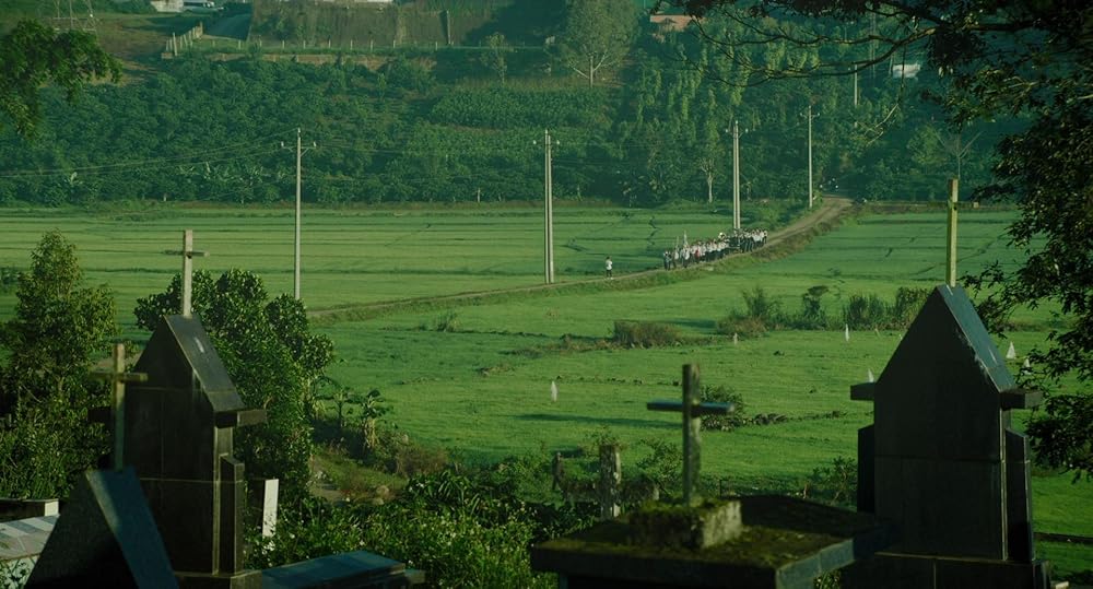 درون پوسته پیله زرد