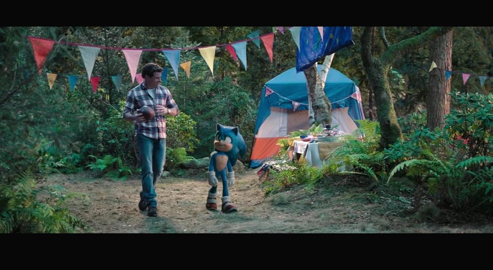 سونیک خارپشت ۳