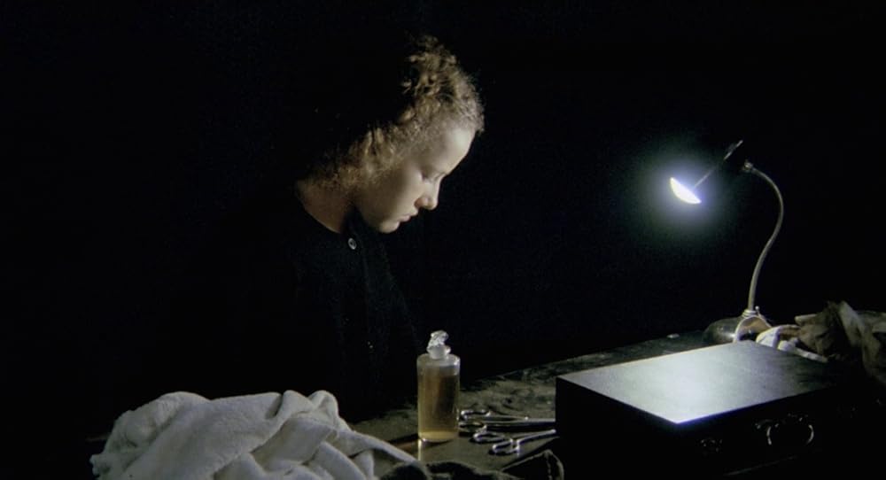 در یک قفسه شیشه ای