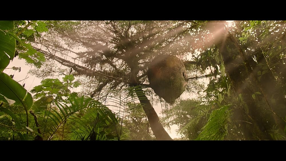 پدینگتون در پرو