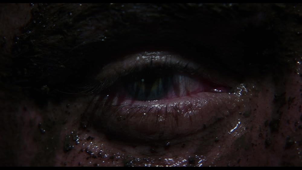 آنچه در وحشی گذشت؛ مروری بر فصل اول