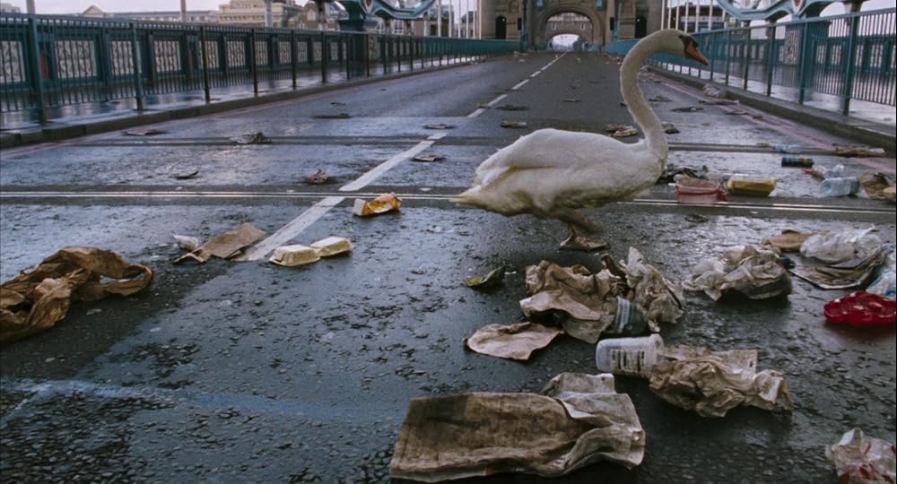 ۲۸ هفته بعد