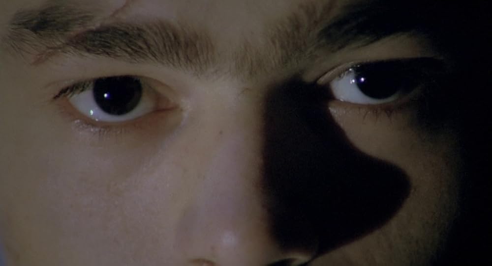 در یک قفسه شیشه ای