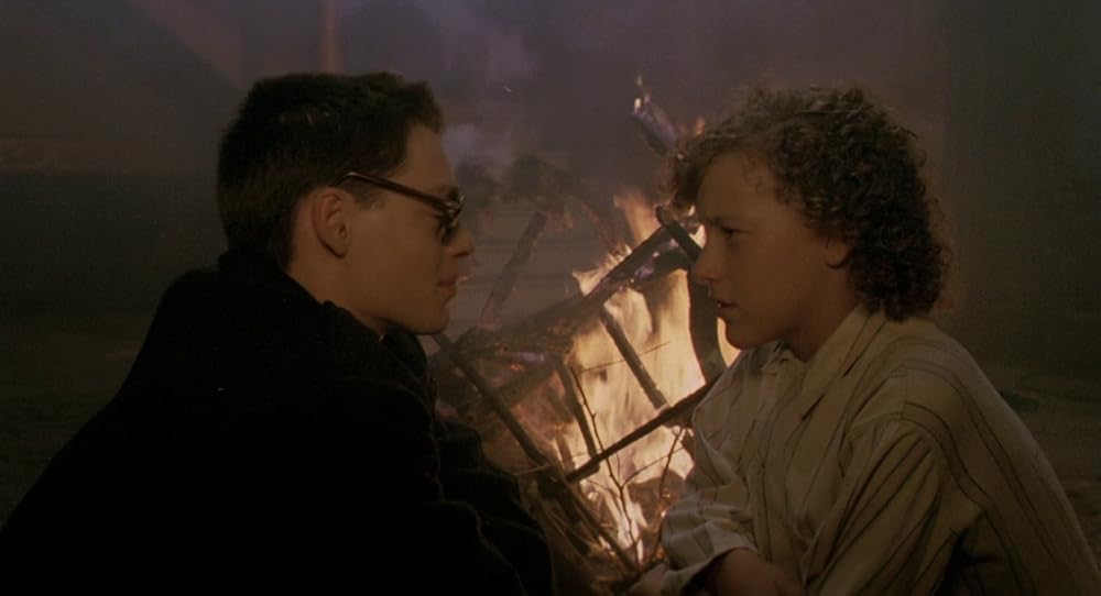 در یک قفسه شیشه ای