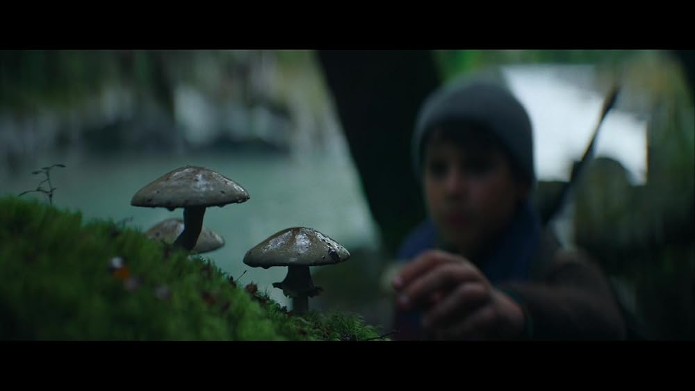 مرد گرگ نما