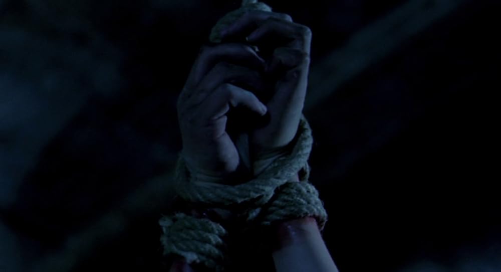 در یک قفسه شیشه ای