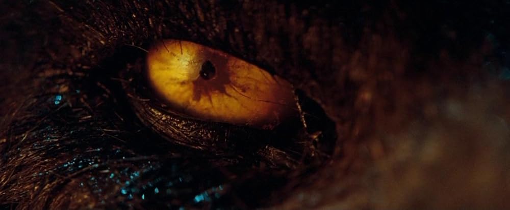 ترفند درمان