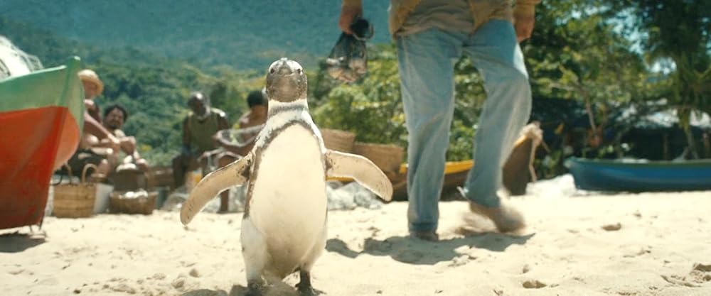 دوست پنگوئن من