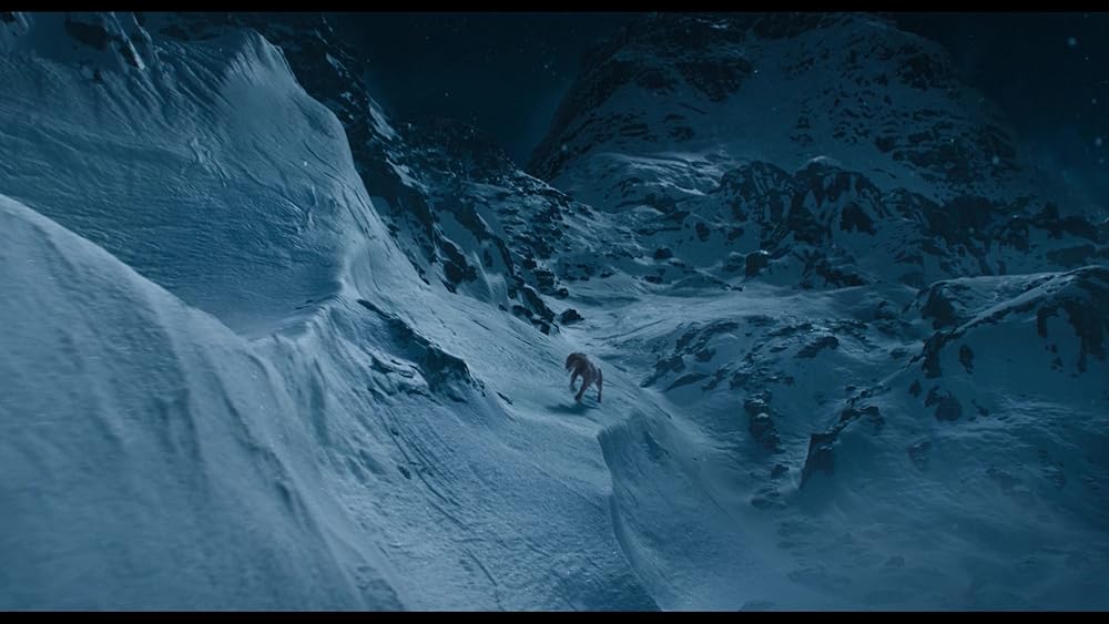 موفاسا: فرمانروای شیرها