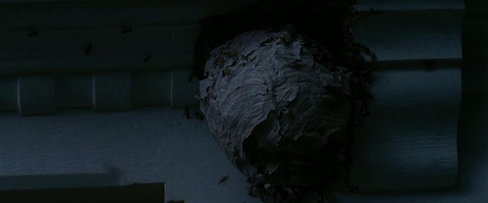 جن‌ گیری امیلی رز