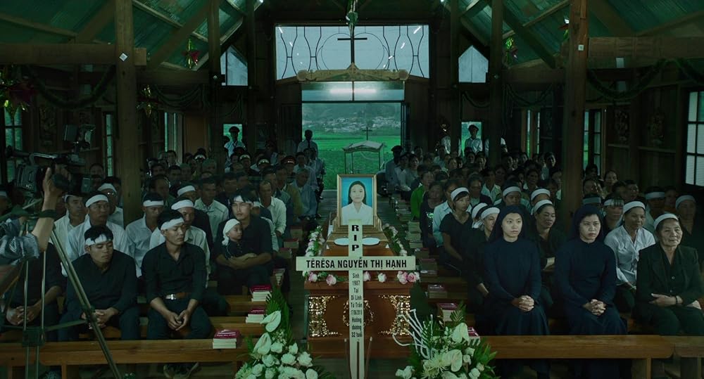 درون پوسته پیله زرد