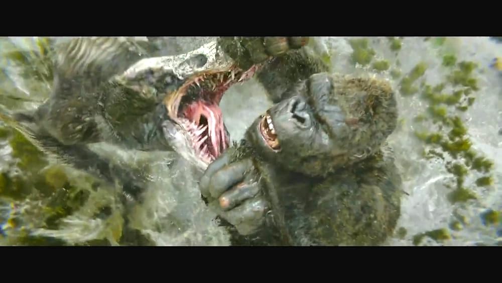 کونگ جزیره جمجمه