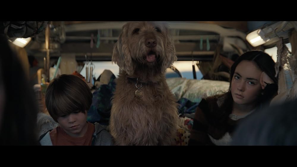 ونوم: آخرین رقص