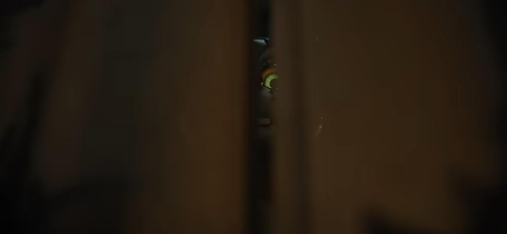 پنج شب با فردی ۲