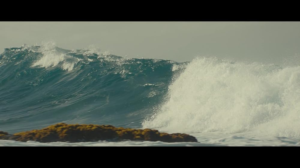 لیلو و استیچ