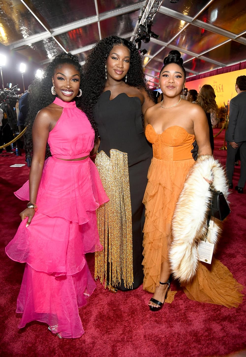 موفاسا: فرمانروای شیرها