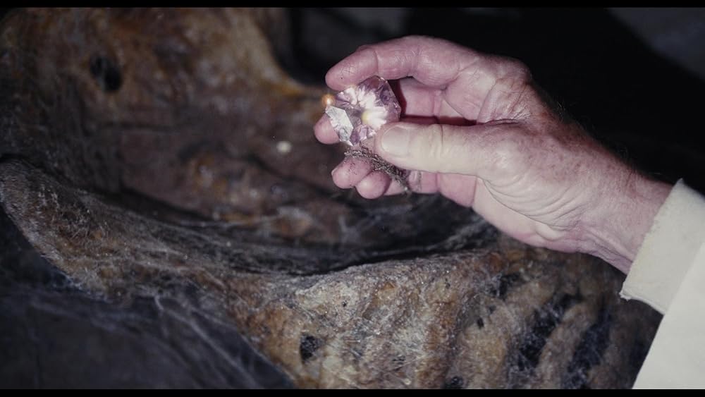 آنچه در وحشی گذشت؛ مروری بر فصل اول