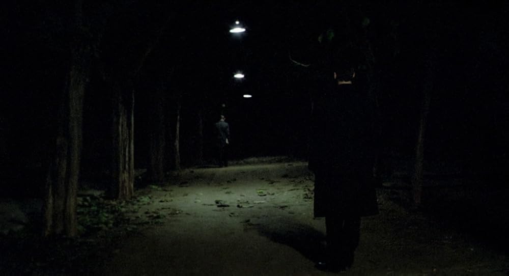 در یک قفسه شیشه ای