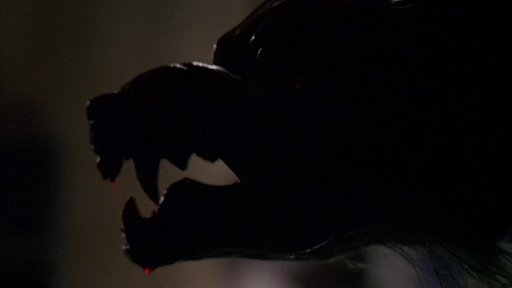 گاز گرفتن جینجر