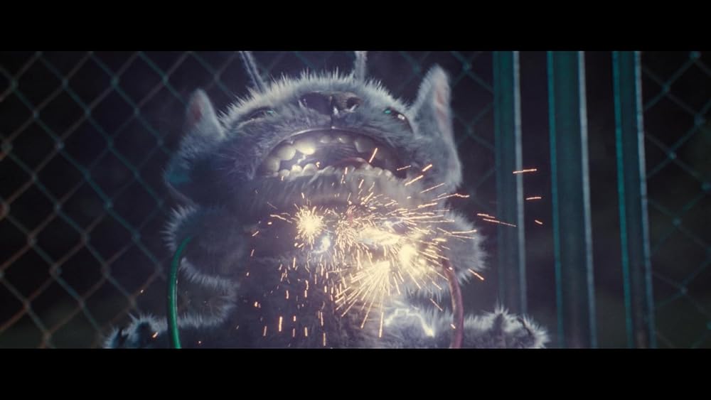 لیلو و استیچ