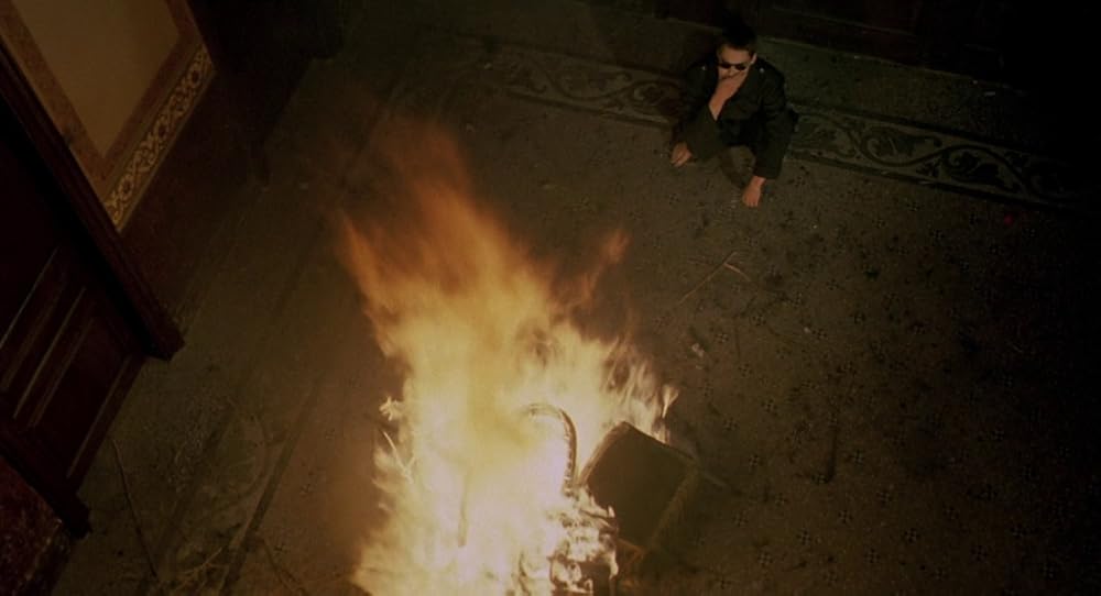 در یک قفسه شیشه ای