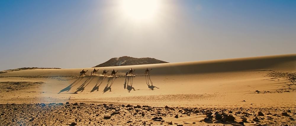 ماجراهای شگفت انگیز ادل بلانسک